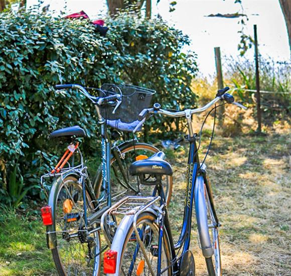 Camping Ambon - Location emplacements camping pour tente, caravane et camping-car au camping 2 étoiles de Cromenac'h à Ambon, camping accès direct plage proche du Golfe du Morbihan, de la presqu'île de Rhuys dans le Morbihan, Bretagne Sud