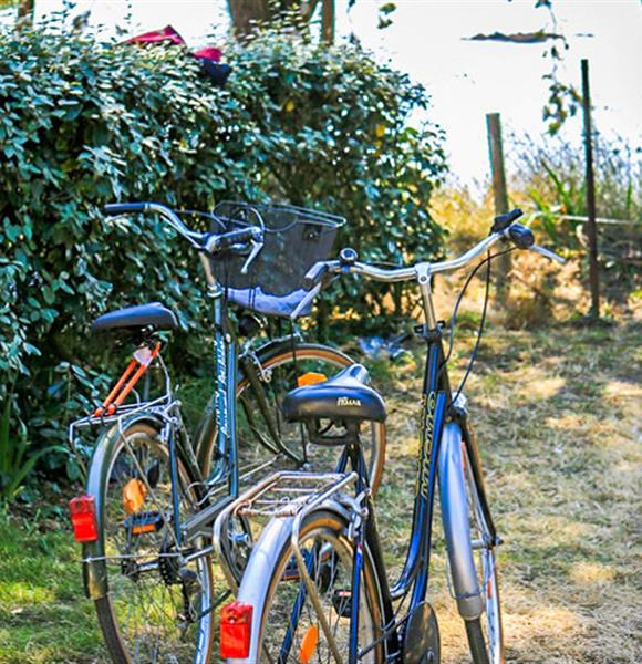 Camping Ambon - Location emplacements camping pour tente, caravane et camping-car au camping 2 étoiles de Cromenac'h à Ambon, camping accès direct plage proche du Golfe du Morbihan, de la presqu'île de Rhuys dans le Morbihan, Bretagne Sud