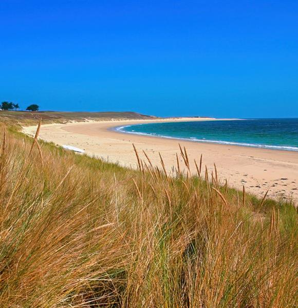 Camping Ambon ** - A découvrir aux alentours du camping 2 étoiles de Cromenac'h à Ambon, camping accès direct plage proche du Golfe du Morbihan, de la presqu'île de Rhuys dans le Morbihan, Bretagne Sud