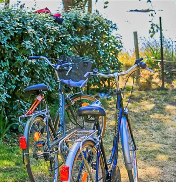 Offres spéciales moins de 25 ans Camping Ambon camping 2 étoiles de Cromenac'h à Ambon, camping accès direct plage proche du Golfe du Morbihan, de la presqu'île de Rhuys dans le Morbihan, Bretagne Sud