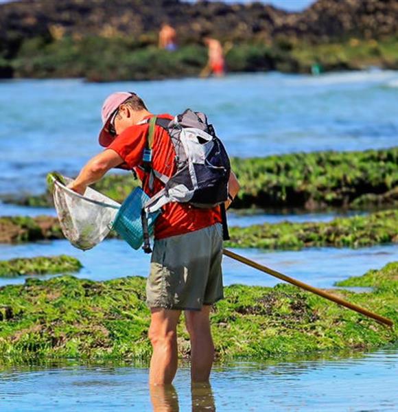 La pêche à pied - Camping 2 étoiles de Cromenac'h