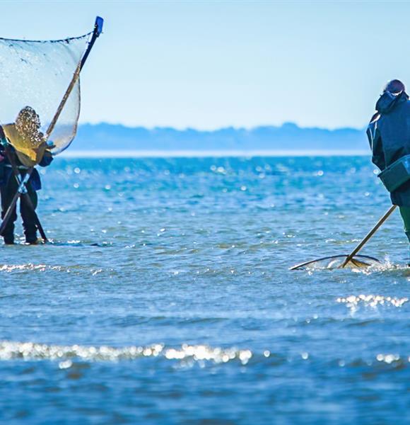 Camping Ambon pêche à pied accès mer 