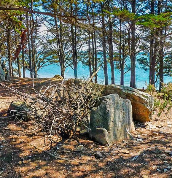 Camping Ambon Site mégalithique Ile d'Arz