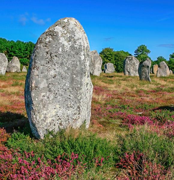 Carnac et les alignements proche du camping 2 étoiles de Cromenac'h à Ambon, camping accès direct plage proche du Golfe du Morbihan, de la presqu'île de Rhuys dans le Morbihan, Bretagne Sud