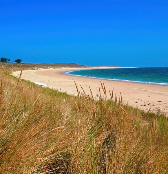 Houat proche du camping 2 étoiles de Cromenac'h à Ambon, camping accès direct plage proche du Golfe du Morbihan, de la presqu'île de Rhuys dans le Morbihan, Bretagne Sud